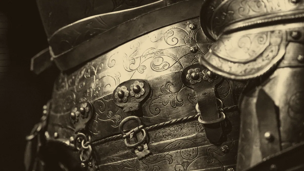 The plates of a knight harness.