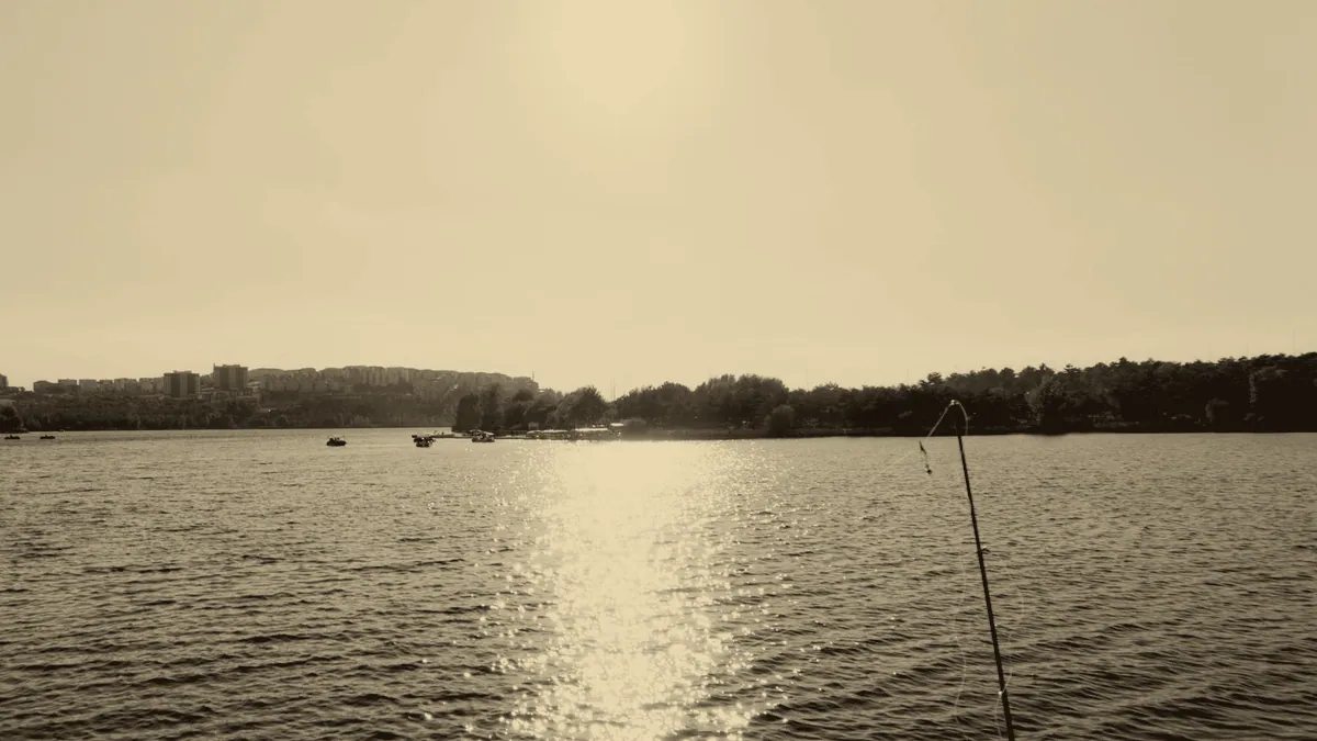 A rod over still water.